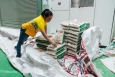Thái Lan đặt cược vào giống gạo mới để giành lại ngôi vị xuất khẩu số một thế giới